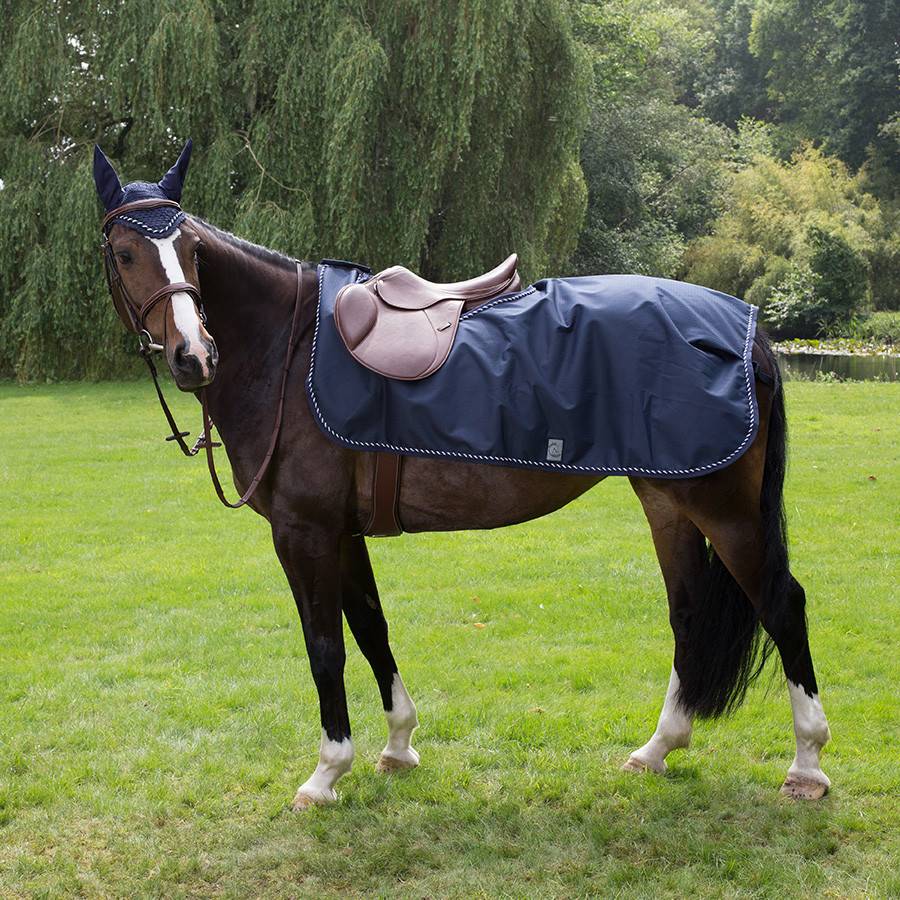 Waterproof riding sheet