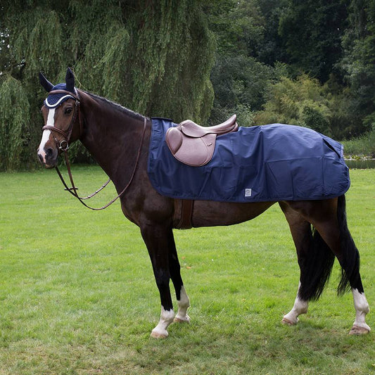 Waterproof riding sheet