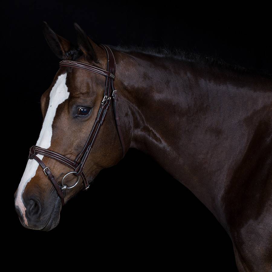 Trense Calgary - Kalbsleder