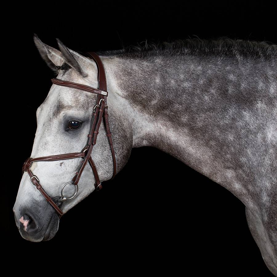 Mexico Bridle - Cow leather