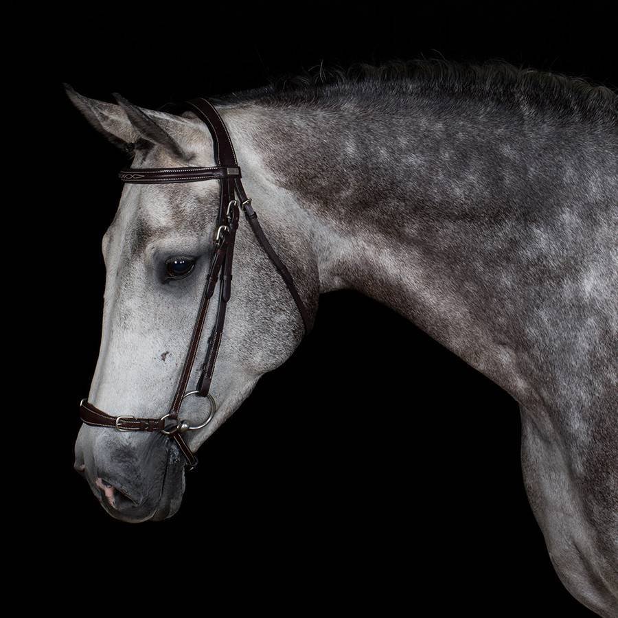 Trense Doha