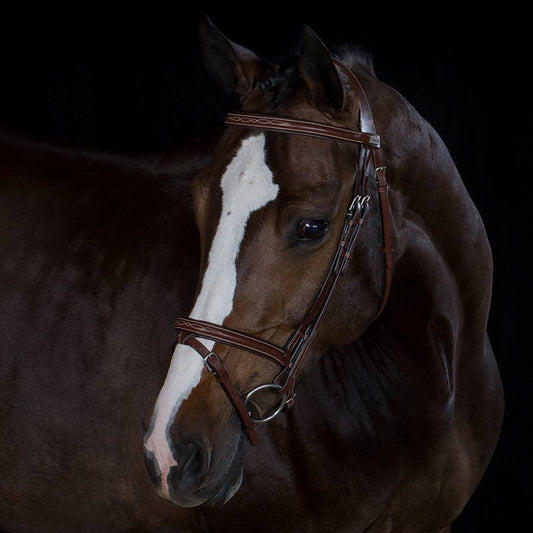 Trense Stockholm - Rindsleder