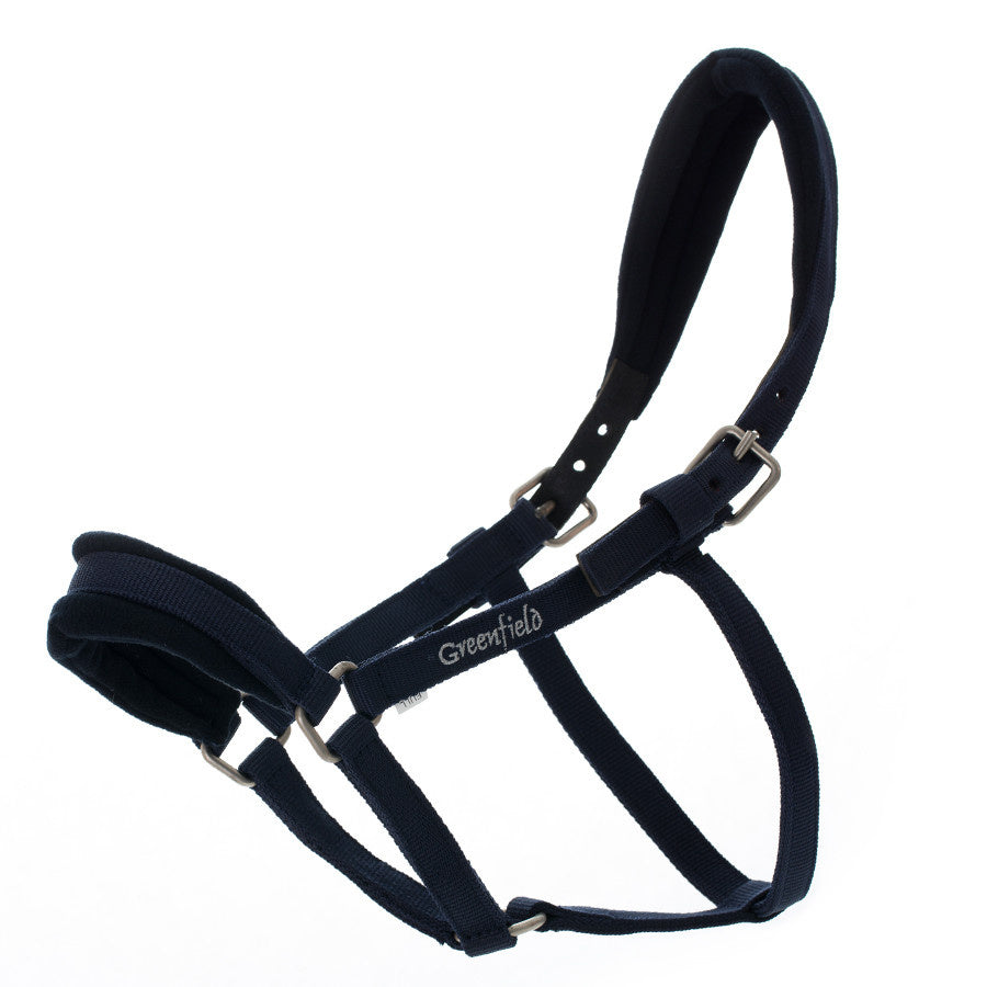 Strong headcollar with fleece - light model