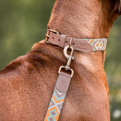 Dog collar - Mint/Orange