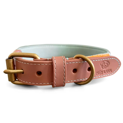 Dog collar - Mint/Orange