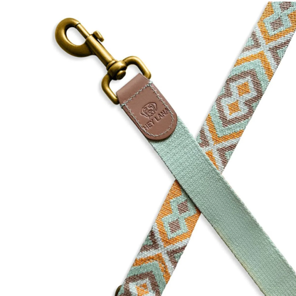 Dog Leash - Mint/Orange