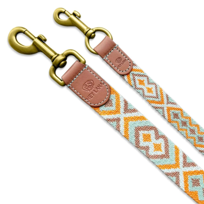 Dog Leash - Mint/Orange