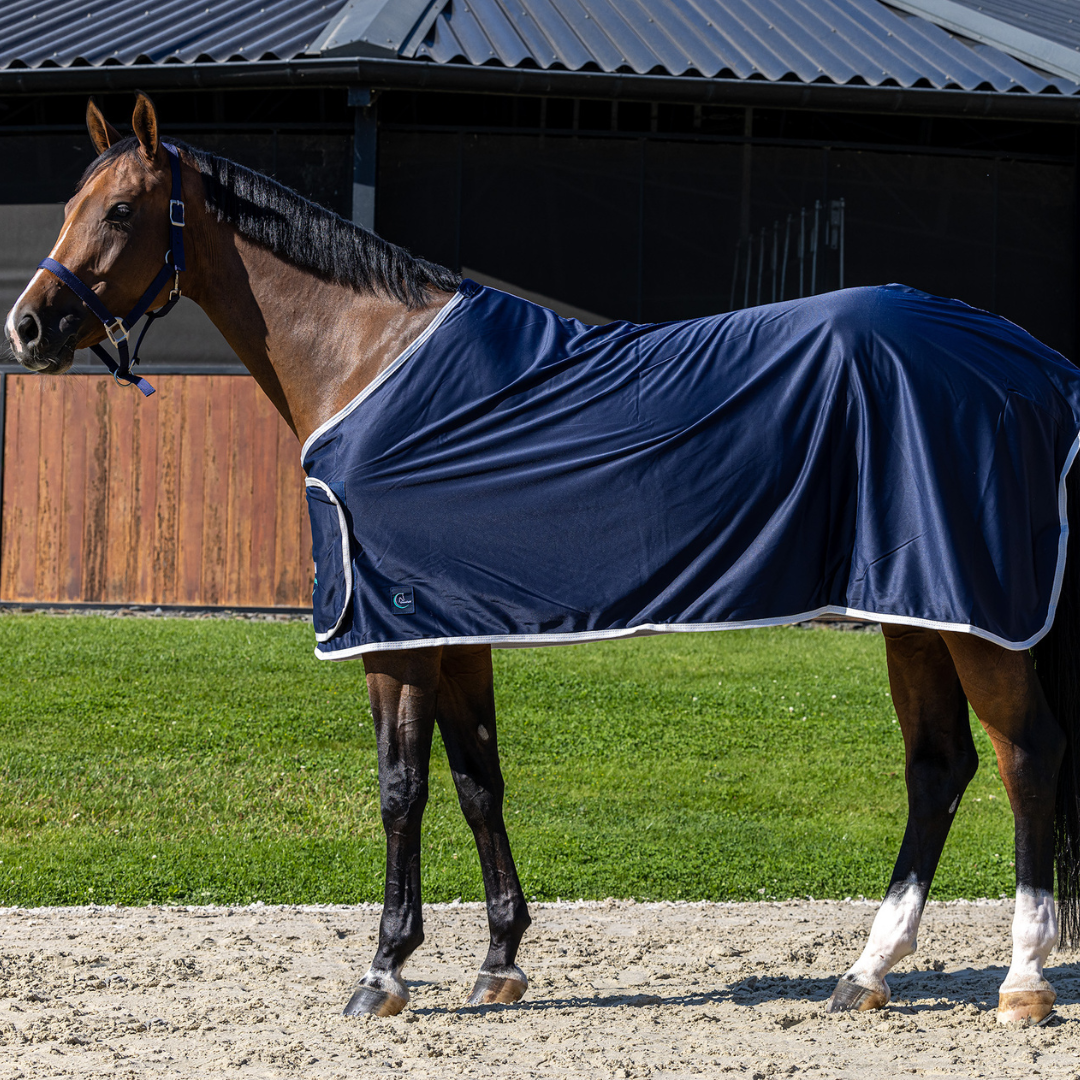 Publicity shine fleece rug - navy/white with GF logo