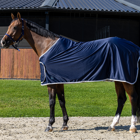 Publicity shine fleece rug - navy/white with GF logo