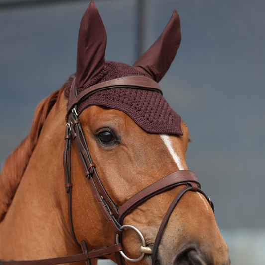 Bonnet - Droit - Marron