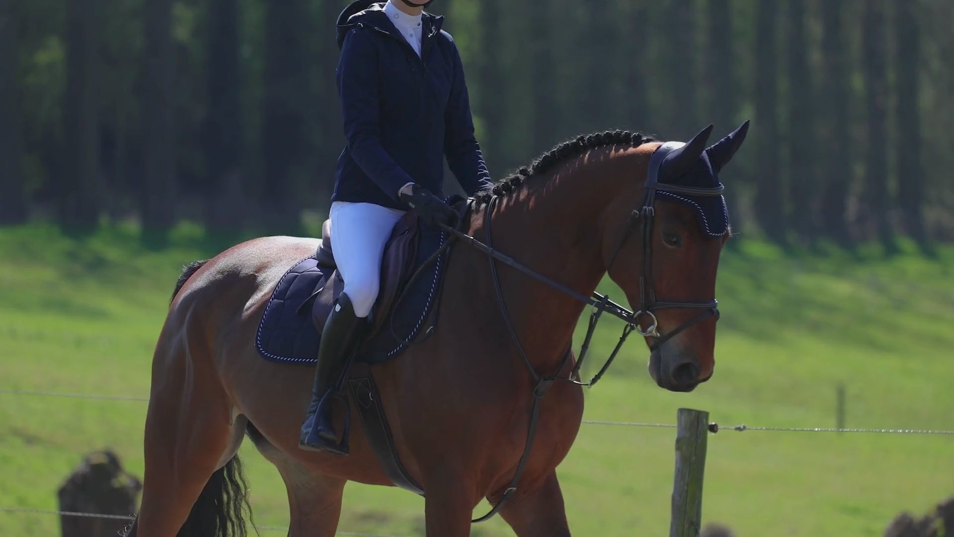 Saddle pad Classic - Navy/Navy-Mix – Greenfield Selection