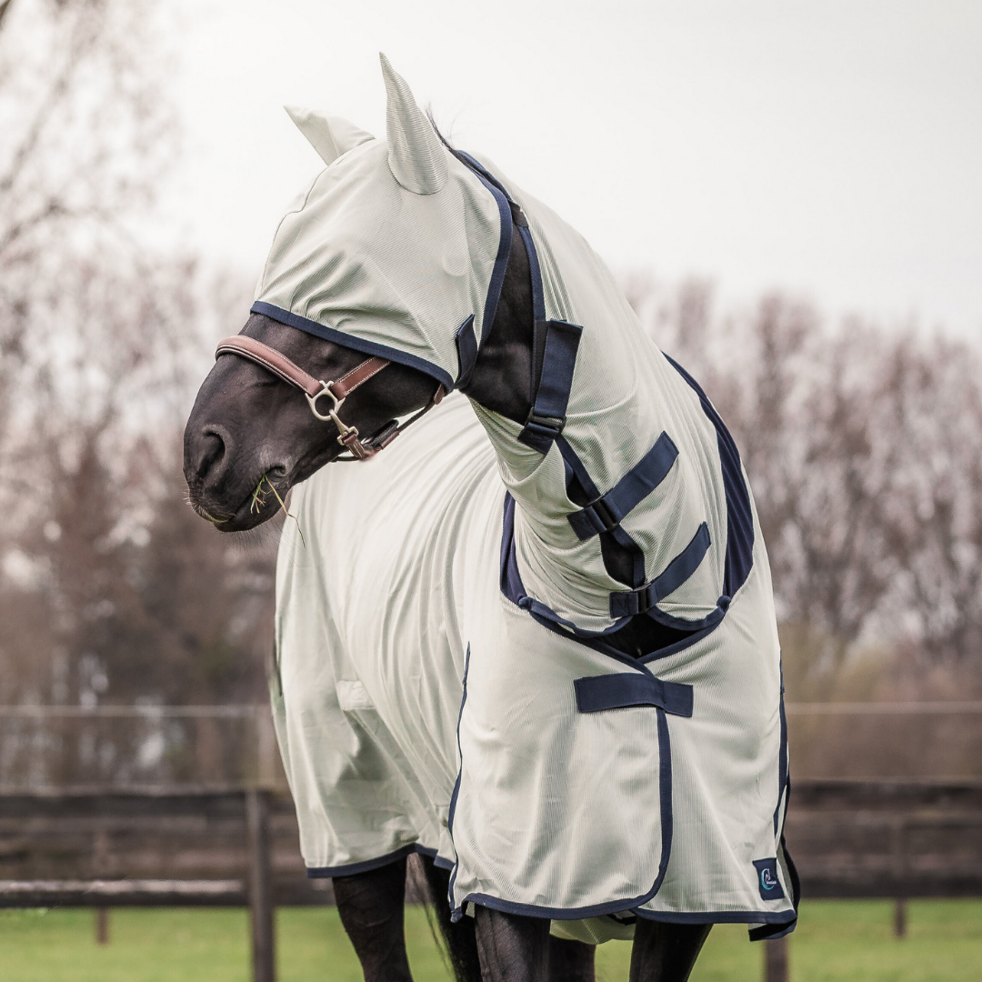 Complete fly sheet