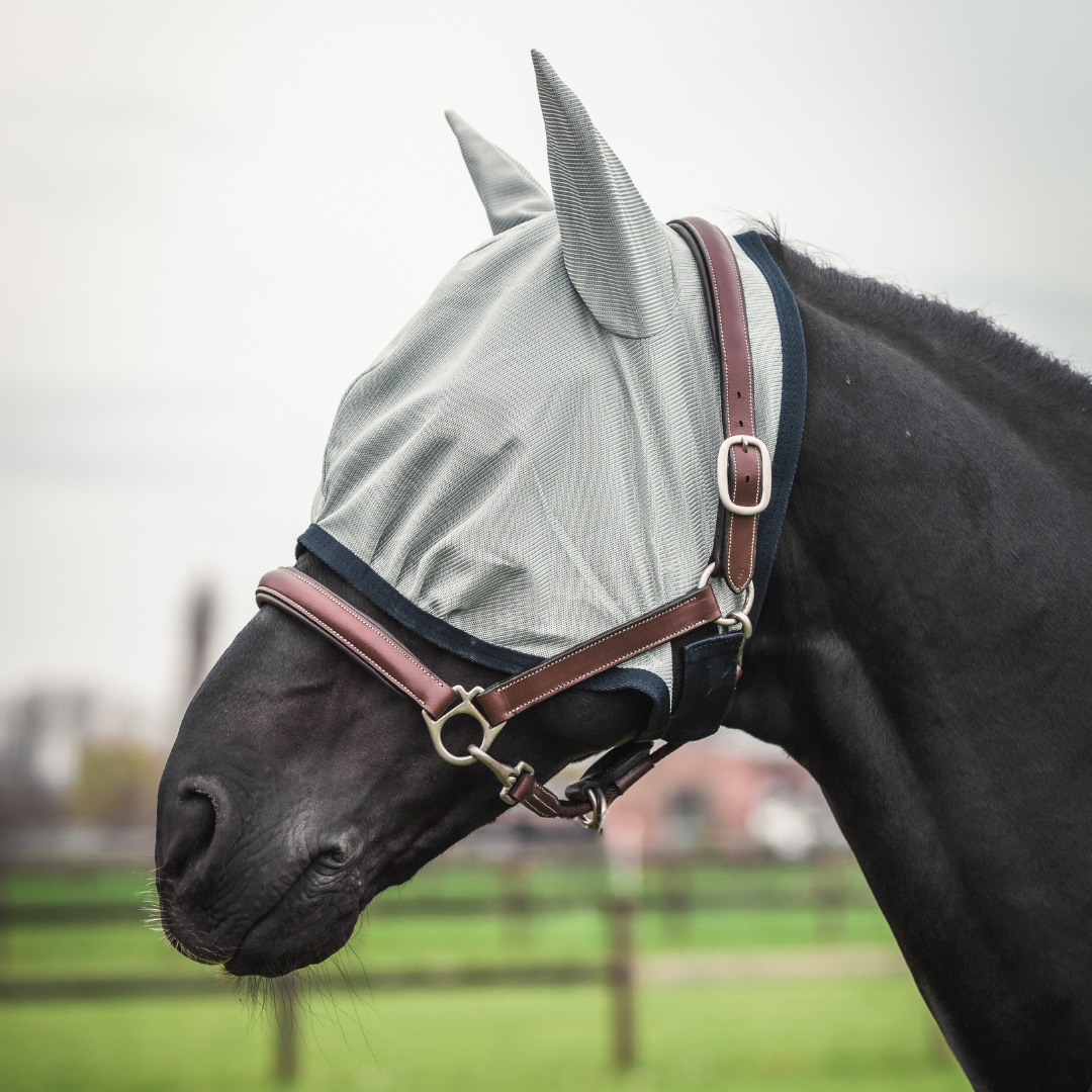 Vliegenmasker
