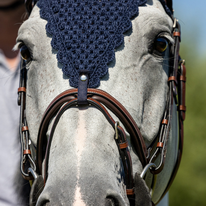 Rome bridle