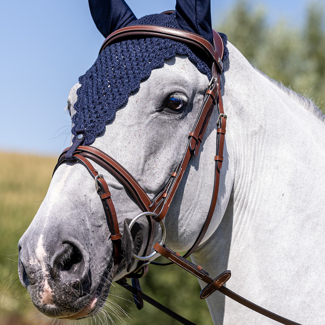 Rome bridle