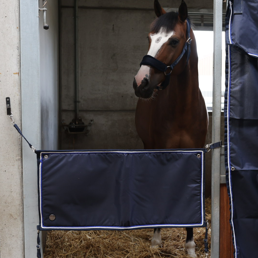 Stable guard navy/navy - white/royalblue