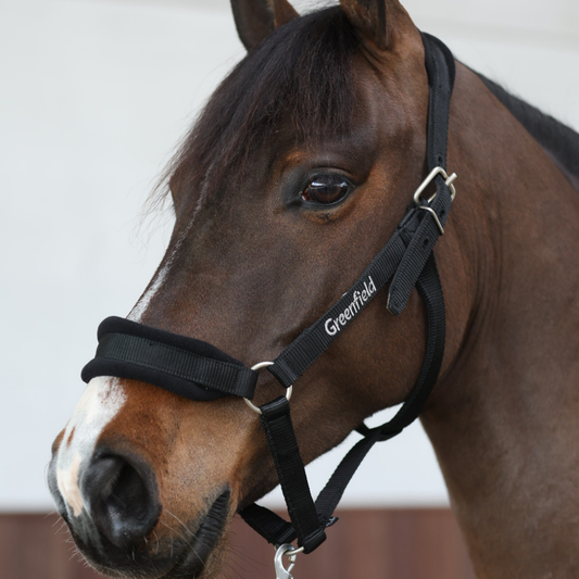 Sterk halster met fleece - licht model