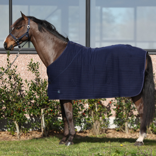 Thermo rug - navy/navy