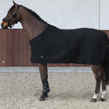 Thermo rug - black/black