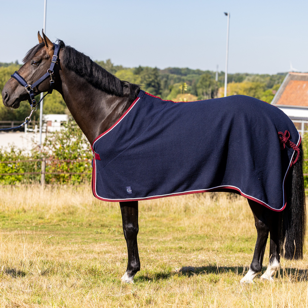 Woolen rug - navy/burgundy-white