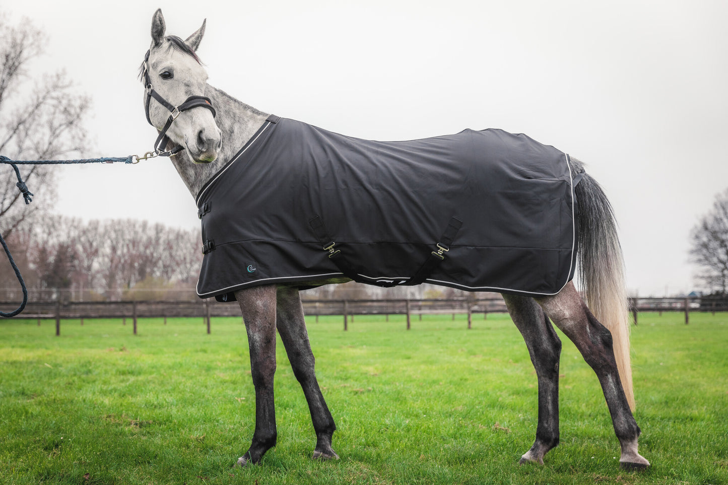 Softshell deken - zwart